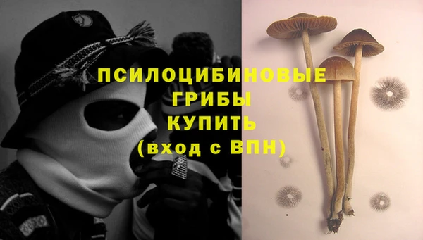 мдпв Горняк