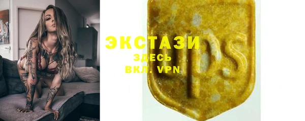 сатива Кизел