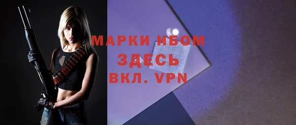 сатива Кизел