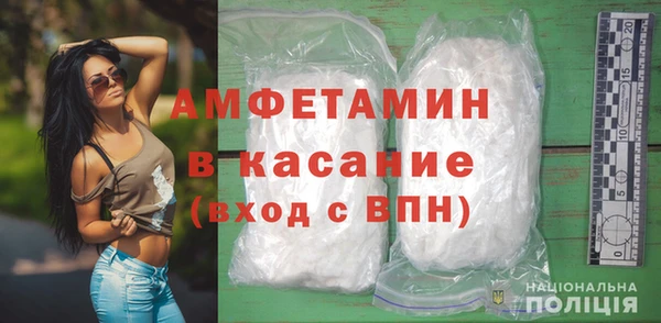 сатива Кизел