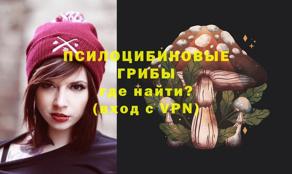 сатива Кизел