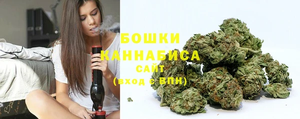 мдпв Горняк